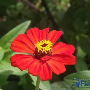 Meet your Posher, Emille